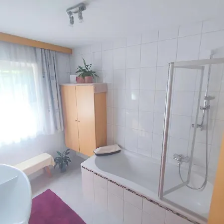 In Ramsau Near Horbergbahn Lift Ferienhaus *